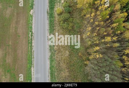 Una vista aerea di una strada asfaltata che attraversa un campo verde con alberi autunnali in una giornata di sole Foto Stock