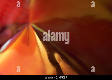 Sfumatura morbida arancione. Gradiente arcobaleno. Sfondo madreperla. Neon figure.struttura olografica. Liquido cosmico. Texture olografica arancione. Foto di alta qualità Foto Stock