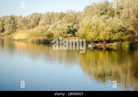 Begec, Serbia - Ottobre 30. 2021: Panorama autunnale sul lago artificiale Begecka jama, vicino alla città di Novi Sad. Foto Stock