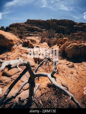 La venditazione morta e le rocce formano il paesaggio al lago Watson in Prescott Arizona. Foto Stock