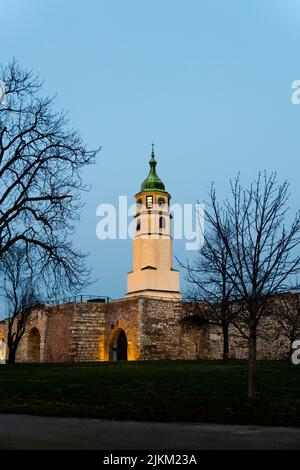 Un bellissimo colpo di torre dell'orologio (Sahat Kula) nella fortezza di Kalemegdan contro il cielo crepuscolo con alberi senza fronde in primo piano, Belgrado, Serbia Foto Stock