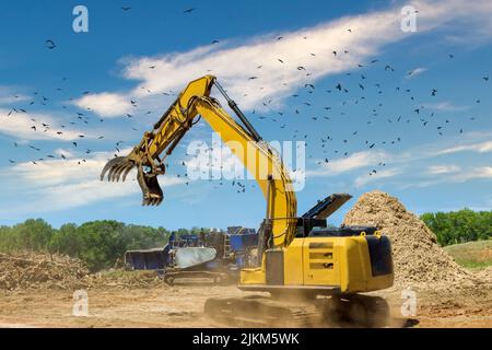 Trituratore di legno immagini e fotografie stock ad alta risoluzione - Alamy