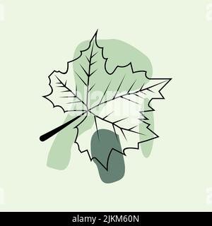 Illustrazione vettoriale disegnata a mano. Sfondo con foglie di caduta. Elementi di progettazione della foresta. Ciao autunno! Illustrazione Vettoriale