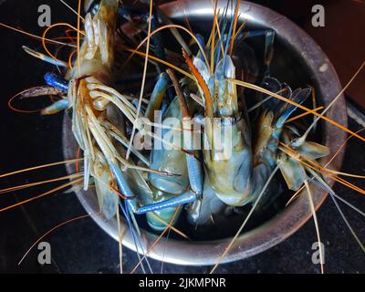 macrobrachyum di gamberi di fiume d'acqua dolce in un contenitore Foto Stock