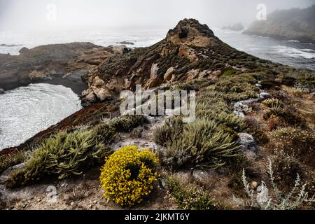 Costa di Point lobos state Natural Reserve, California Foto Stock