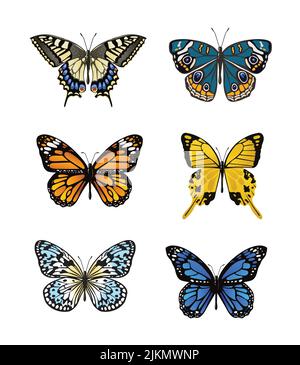 Una serie di icone colorate a farfalla isolate su sfondo bianco Illustrazione Vettoriale