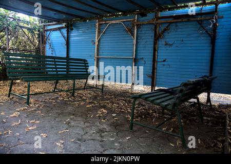 Gazebo realizzato localmente con panchine e foglie a terra Foto Stock