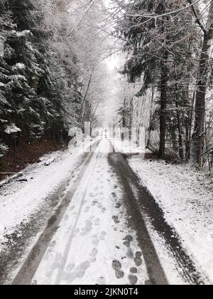 Un tiro verticale di una strada stretta in una zona boschiva in una giornata invernale innevata Foto Stock