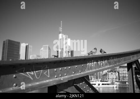 Una scala di grigi di due piccioni sistemati sul ponte di metallo con paesaggio urbano sullo sfondo Foto Stock