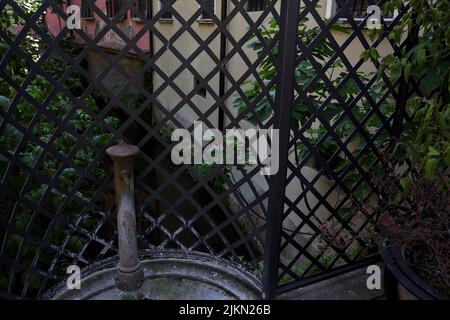 Vecchia fontana pubblica di fronte ad una recinzione con una fila di case e un fico tre su un flusso d'acqua Foto Stock