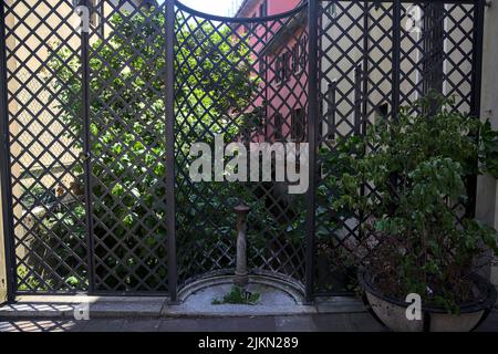 Vecchia fontana pubblica di fronte ad una recinzione con una fila di case e un fico tre su un flusso d'acqua Foto Stock