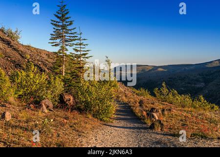 monte St Helens di mattina presto sul sentiero a piedi. Foto Stock