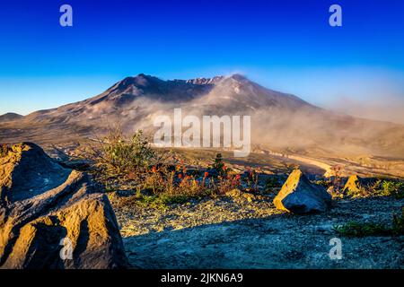 Blue Sky mattina presto a mi ST Helen con Indian Paint Brush Foto Stock