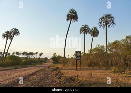 31 dicembre 2021, Parco Nazionale El Palmar, Entre Rios, Argentina: Strada sterrata e segnaletica con il simbolo di una volpe e il testo Rallenta. Attraversamento della fauna selvatica Foto Stock