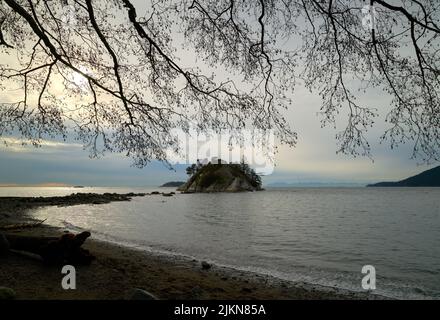 Whytecliff Park Shoreline West Vancouver BC. Whyte Island attraverso una copertura di rami. Whytecliff Park è accessibile per arrampicate ed esplorazioni a lo Foto Stock