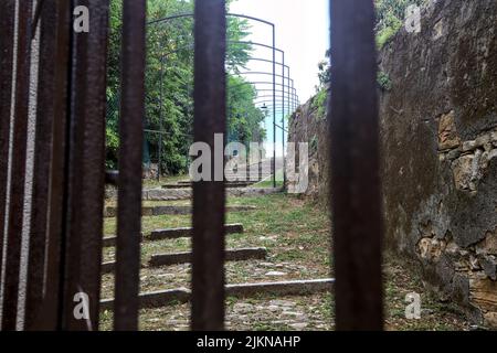 Scala su una collina delimitata da alberi e un muro di pietra visto attraverso una griglia Foto Stock