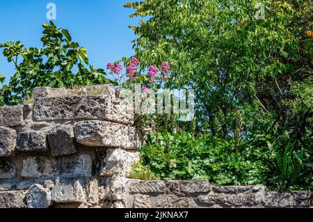 Sud della Francia nel paesaggio e Costa di primavera Foto Stock