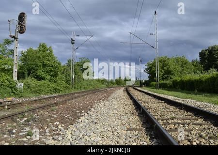 Ferrovia, treni in foresta, che conduce all'orizzonte Foto Stock