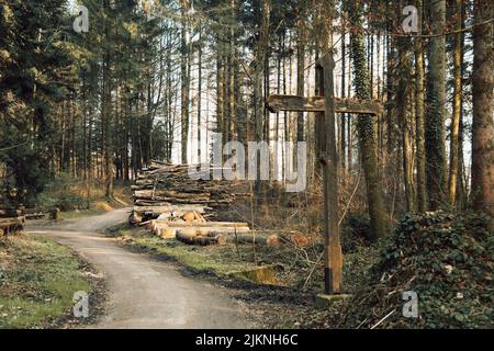 Una croce di legno lungo il sentiero nella foresta Foto Stock