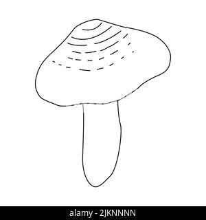 Funghi illustrazione del vettore disegnata mano, funghi pericolosi, toadstool, mosca agaric, toadstool bianco, famiglia di funghi isolato sfondo bianco Illustrazione Vettoriale