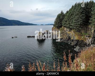 Vista sull'oceano dall'Alaska Kodiak Spruce Island Foto Stock