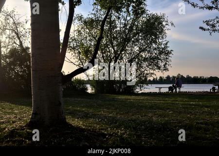 Uomo seduto da solo su una panchina vicino al lago in un parco al tramonto Foto Stock