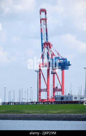 Colpo verticale di una gru a portale per container al porto di Jade Weser in Germania. Trasporti di carichi e logistica a Wilhelmshaven. Foto Stock