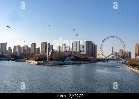 La ruota panoramica gigante Tientsin Eye sopra il ponte Yongle sul fiume Hai a Tianjin, Cina. Foto Stock