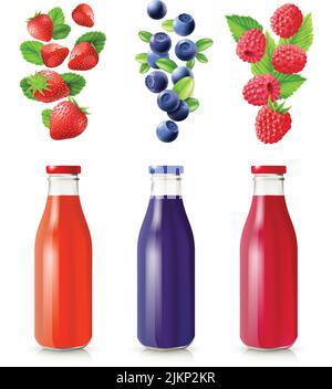 Set realistico succo di Berry con bottiglie e bacche vettore isolato illustrazione Illustrazione Vettoriale