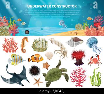 Sea LIFE animali piante e cartoni animati paesaggio icone set costruttore illustrazione vettoriale Illustrazione Vettoriale