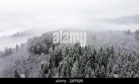 Una vista aerea del paesaggio di una fitta foresta coperta di neve con nebbia pesante al mattino presto Foto Stock