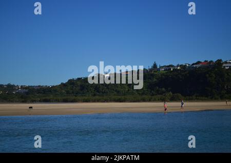 Uno scatto panoramico di un mare o riva del lago con alberi e cespugli in lontananza e la gente sveglia Foto Stock
