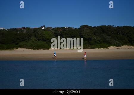 Uno scatto panoramico di un mare o riva del lago con alberi e cespugli in lontananza e la gente sveglia Foto Stock