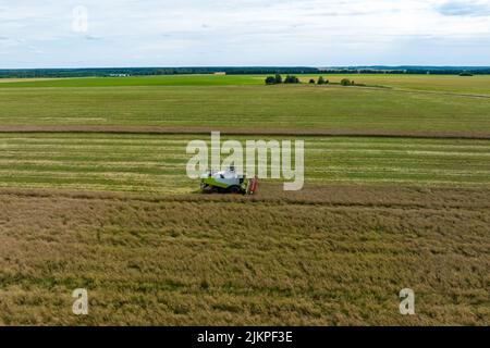 vista aerea sulle moderne macchine pesanti rimuovere il pane di grano maturo nel campo. Lavoro agricolo stagionale Foto Stock