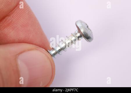 Primo piano di una mano che tiene una vite a testa tonda metallica su sfondo bianco Foto Stock