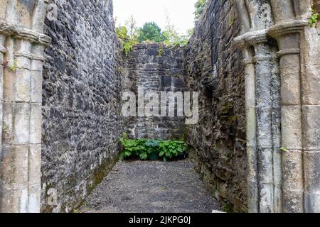 Le rovine e i terreni dell'abbazia di Whalley Foto Stock