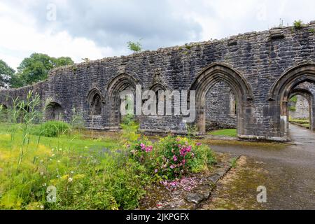 Le rovine e i terreni dell'abbazia di Whalley Foto Stock