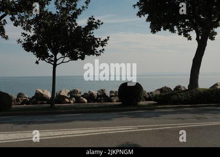 Le silhouette delle piante sulla strada sullo sfondo del Lago di Garda. Desenzano del Garda, Italia. Foto Stock