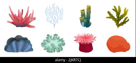 Piante esotiche sottomarine e animali marini ambientati da fondale marino profondo o da illustrazione vettoriale dell'acquario. Cartoon alghe marine e barriera corallina collezione isolato bianco. Vita sottomarina, concetto di natura tropicale Illustrazione Vettoriale