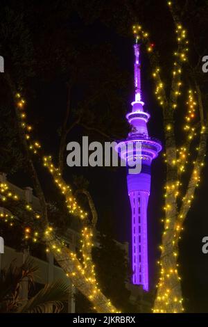 L'iconica Sky Tower di Auckland, Nuova Zelanda, di notte si illuminerà di viola e incorniciata da luci fairy nei rami di un albero Foto Stock