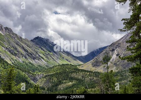Coperto sulla valle di montagna. Il bordo della montagna taiga. Sayan orientale. Buryatia Foto Stock