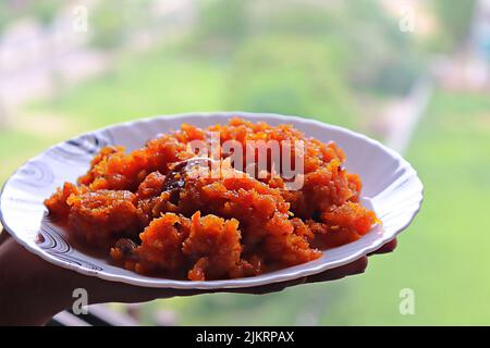 Donna tenuta a mano casalinga, carota Halwa/Pudding/Gajar ka Halwa in un piatto di ceramica/stagione monsone/India Foto Stock