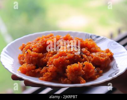 Donna tenuta a mano casalinga, carota Halwa/Pudding/Gajar ka Halwa in un piatto di ceramica/stagione monsone/India Foto Stock