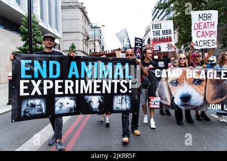 Camp Beagle manifestanti con grande banner dicendo fine esperimenti sugli animali! Diritti degli animali a Londra marzo 2021 Foto Stock