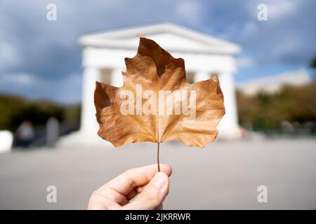 Foglia in una mano di fronte a un edificio a Vienna, Austria Foto Stock