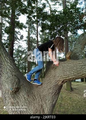 Ling haird ragazzo che sale su un albero Foto Stock