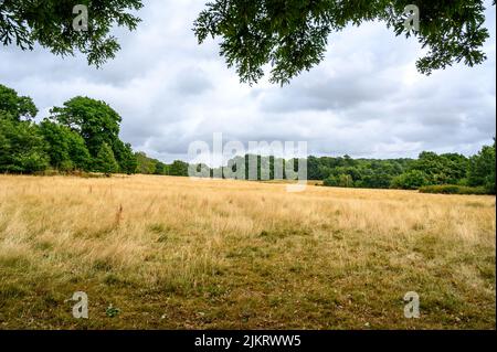 Ammira il campo di battaglia nella Battaglia di Hastings del 1066, Battaglia, East Sussex, Inghilterra. Foto Stock