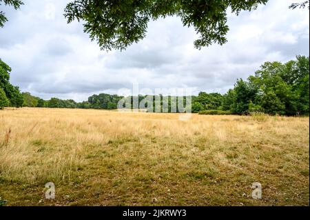 Ammira il campo di battaglia nella Battaglia di Hastings del 1066, Battaglia, East Sussex, Inghilterra. Foto Stock