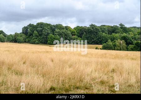 Ammira il campo di battaglia nella Battaglia di Hastings del 1066, Battaglia, East Sussex, Inghilterra. Foto Stock