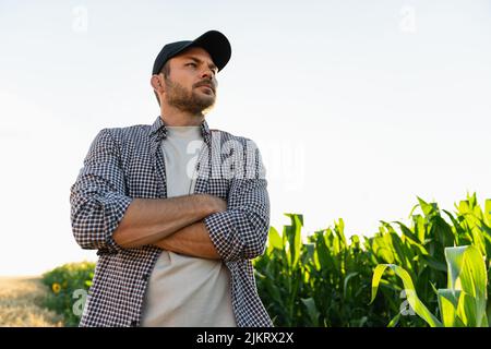 Coltivatore bearded in un cappello e una camicia a quadri sullo sfondo di un campo di mais Foto Stock